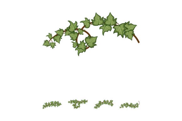 The Green Ivy Vine Border Decoration Element